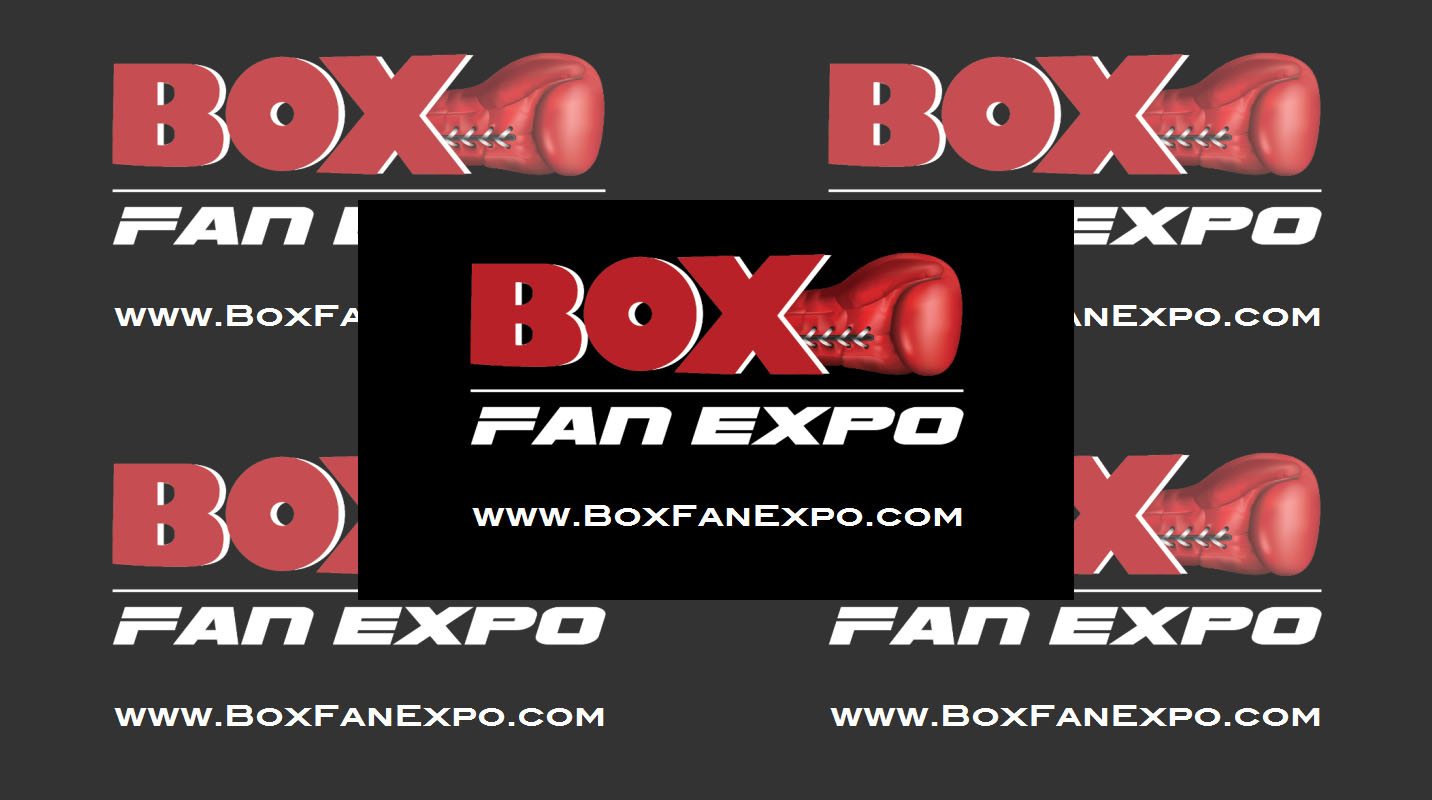 3rd Annual Box Fan Expo